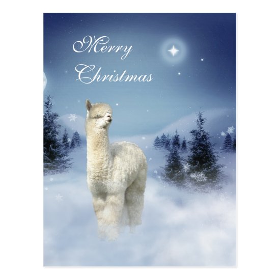 Alpaca Winter Night Christmas Postcards