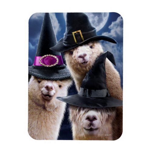 Alpaca Witches Magnet