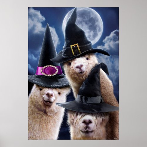 Alpaca Witches Poster