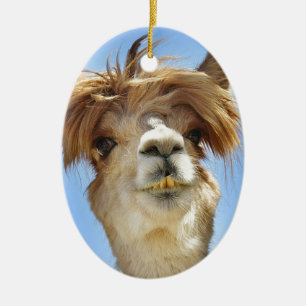 Alpaca with Crazy Hair Ceramic Ornament