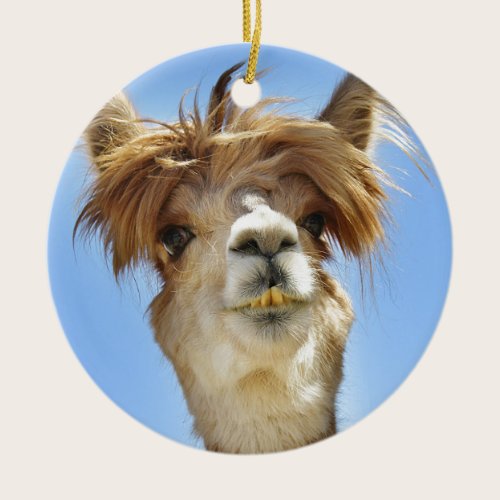 Alpaca with Crazy Hair Ceramic Ornament