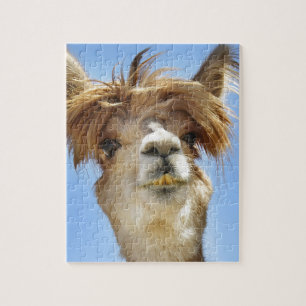 Alpaca with Crazy Hair Jigsaw Puzzle