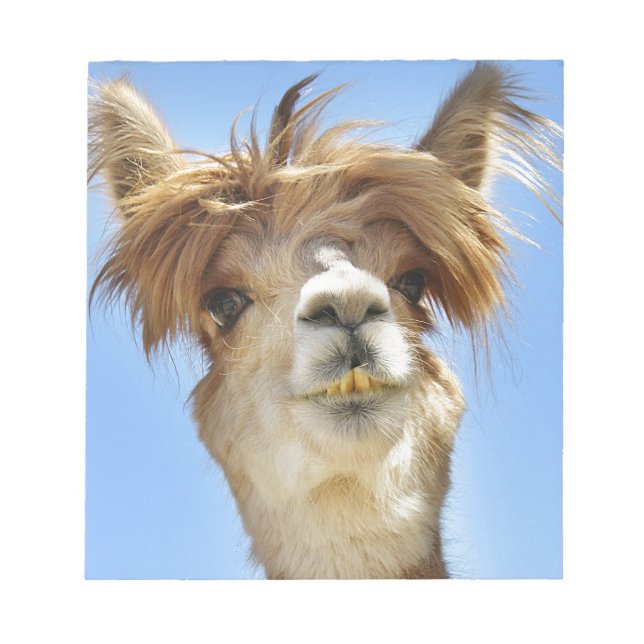 Alpaca with Crazy Hair Notepad (Front)