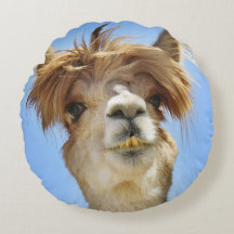 Alpaca with Crazy Hair Pillow
