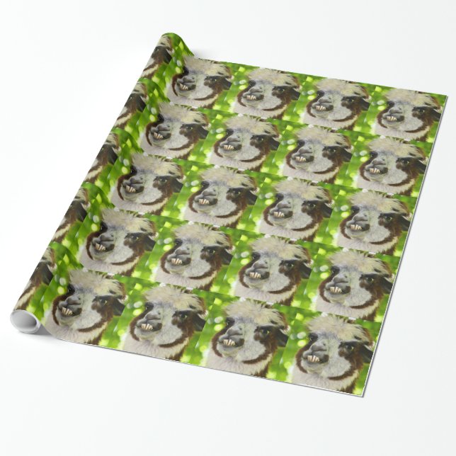 Alpaca Wrapping paper (Unrolled)