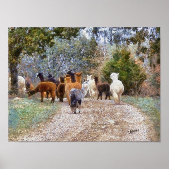 Alpacas Digital Painting Print