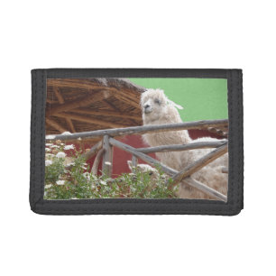Alpacas from Peru Wallet