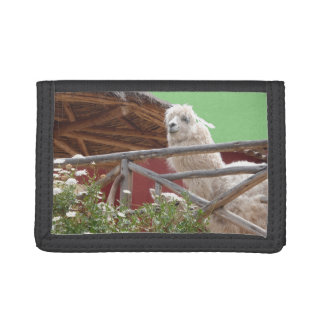 Alpacas from Peru Wallet