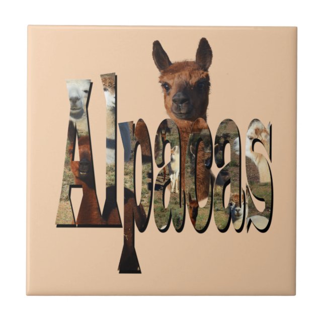 Alpacas Is The Word,  Ceramic Tile (Front)