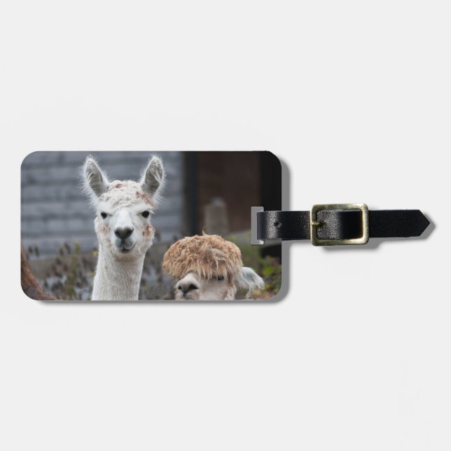 Alpacas Luggage Tag (Front Horizontal)