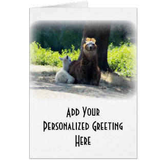 Alpacas - Mom & Baby Cards