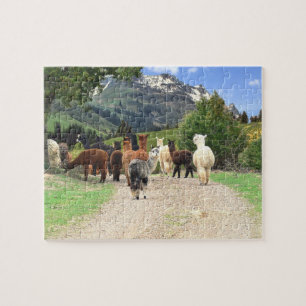Alpacas Puzzle