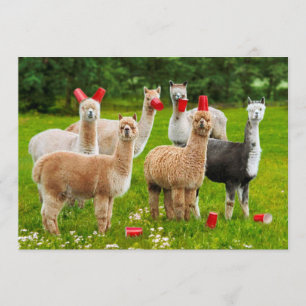 Alpacas With Red Cups Invitation