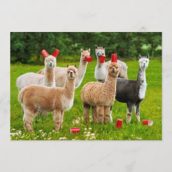 Alpacas With Red Cups Invitation by AvantiPress at Zazzle