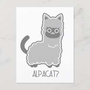 Alpacat? Postcard