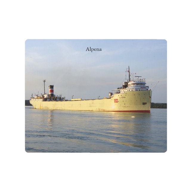 Alpena metallic wall art (Front)
