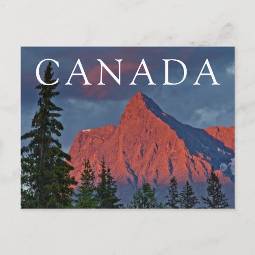 Alpenglow On The Canadian Rockies Postcard