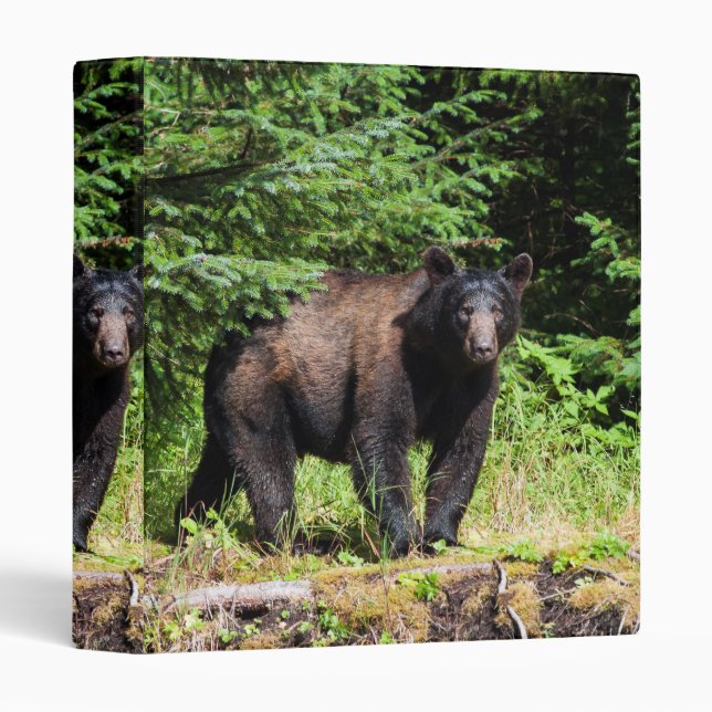 Alpha Black Bear 3 Ring Binder (Front/Spine)