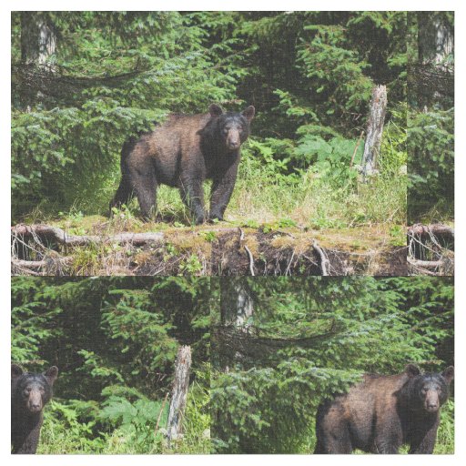 Alpha Black Bear Fabric