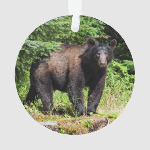 Alpha Black Bear Ornament
