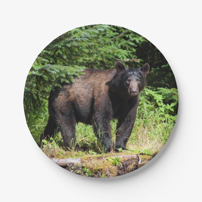 Alpha Black Bear Paper Plates (Front)