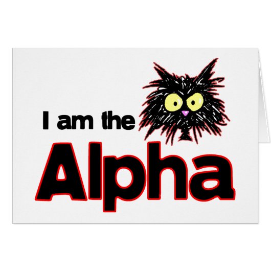 Alpha Cat Cards (Front Horizontal)