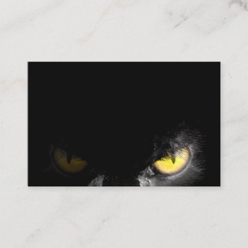 Alpha Cat  with deadly stare on black Business Card