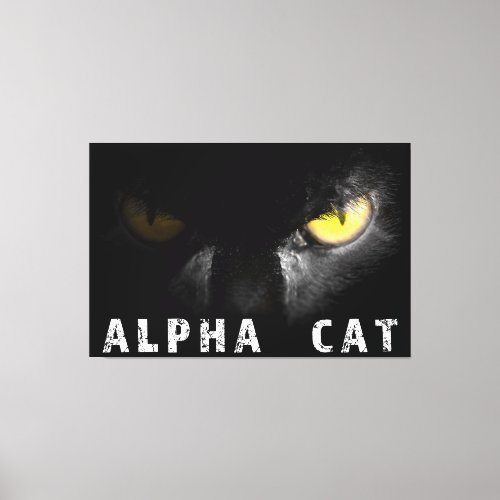 Alpha Cat  with deadly stare on black Canvas Print