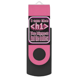 Alpha confident and funny coder's USB Flash Drive