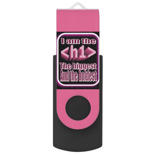 Alpha confident and funny coders USB Flash Drive