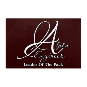 Alpha Engineer Acrylic Print