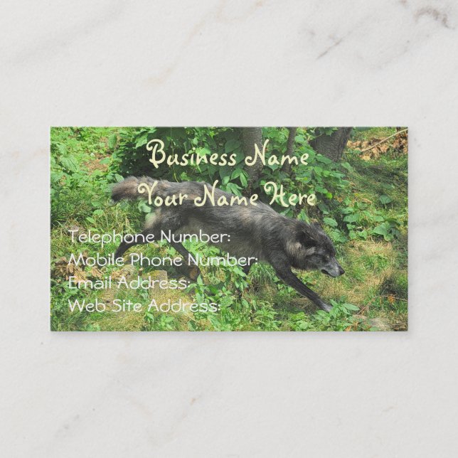 Alpha Grey Wolf in Summer Wildlife Business Cards (Front)