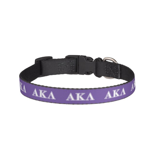 Alpha Kappa Lambda White and Purple Letters Pet Collar (Front)