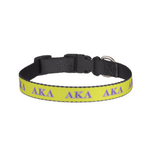 Alpha Kappa Lambda White and Yellow Letters Pet Collar