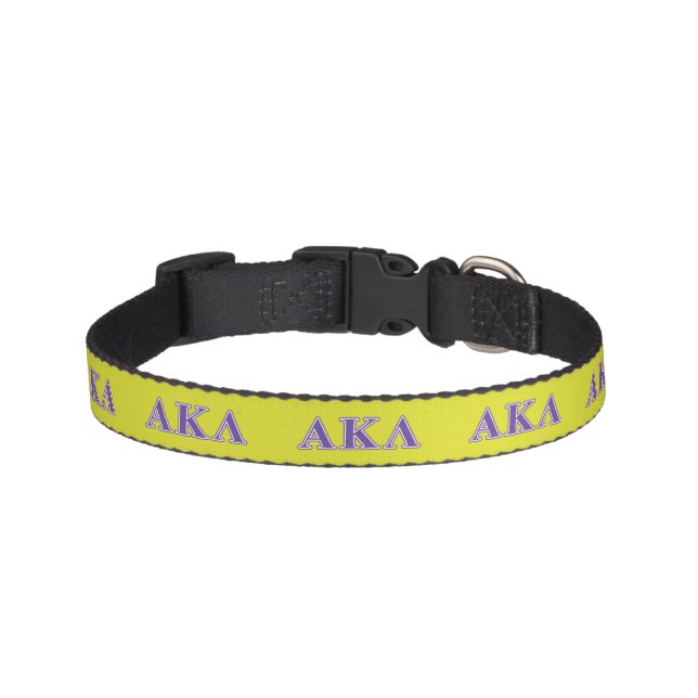 Alpha Kappa Lambda White and Yellow Letters Pet Collar (Front)