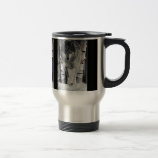 Alpha Male GREY TIMBER WOLF Wildlife Gift Mugs