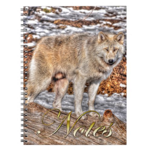 Alpha Male Grey Wolf Wildlife Photo Notebook