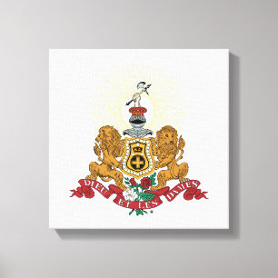 Alpha Phi Crest Canvas Print