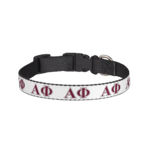 Alpha Phi Silver and Bordeaux Letters Pet Collar