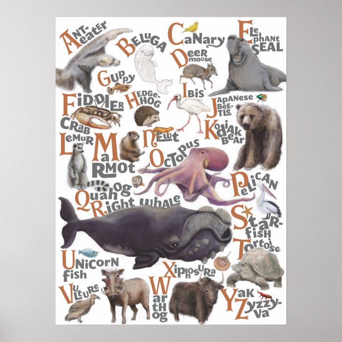 Alphabet Animals Poster