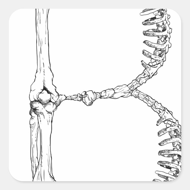 Alphabet Bone Letter B Square Sticker (Front)