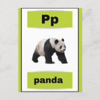 alphabet card(with real picture)