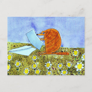 Alphabet Fiesta Armadillo Postcard