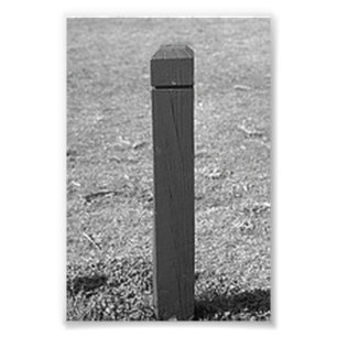 Alphabet Letter Photography L3 Black and White 4x6 Photo Print