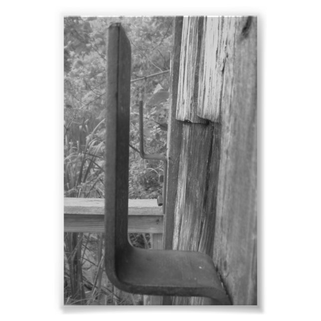 Alphabet Letter Photography L6 Black and White 4x6 Photo Print (Front)