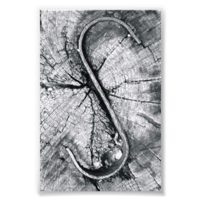alphabet letter photography s2 black and white 4x6 photo print zazzlecom