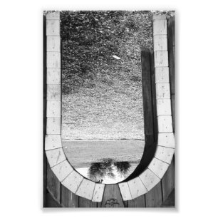 Alphabet Letter Photography U2 Black and White 4x6 Photo Print