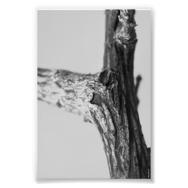 Alphabet Letter Photography Y8 Black and White 4x6 Photo Print (Front)