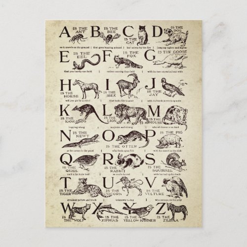 Alphabet Nursery Chart Vintage Postcard