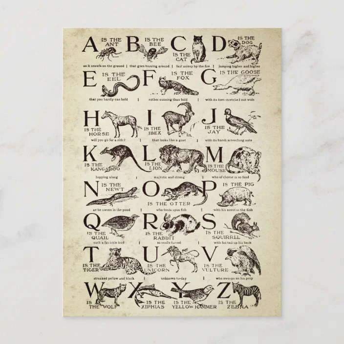 Alphabet Nursery Chart Vintage Postcard Zazzle Com